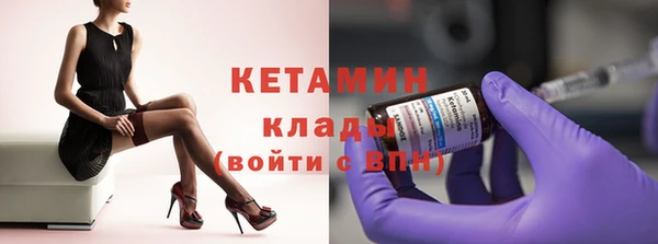 трава Сясьстрой
